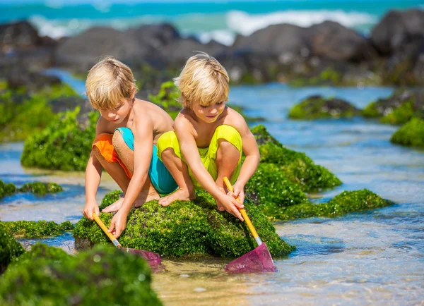 Deux jeunes garçons s'amusent sur la plage tropicale — Photo