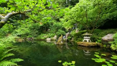 Japon Zen Bahçesi
