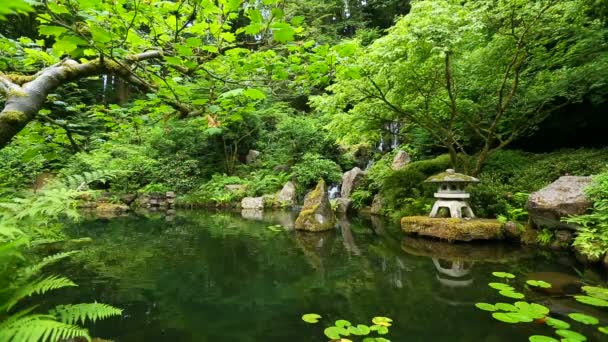 Japanischer Zen-Garten — Stockvideo