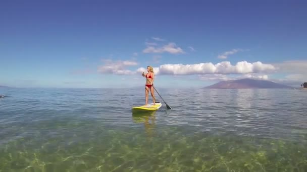 Woman Stand Up Paddling in Hawaii — Stock Video