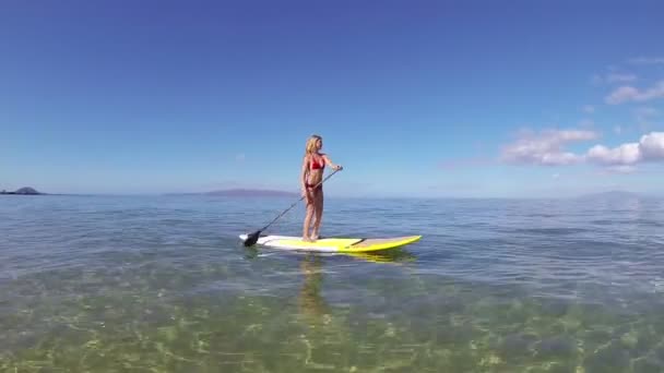 女人站起来在夏威夷戏水 — 图库视频影像