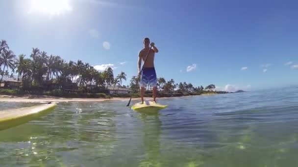 Adam ayağa kalkıp hawaii kürek çekmeye — Stok video