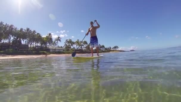 Homme Stand Up Paddle à Hawaï — Video