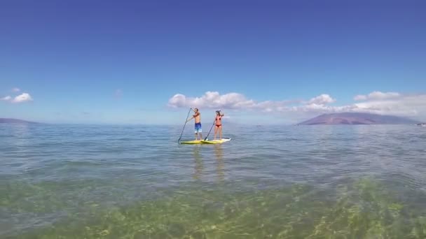 Couple Stand Up Paddling in Hawaii — Stock Video