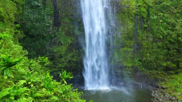 Tropical Jungle Waterfall In Hawaii
