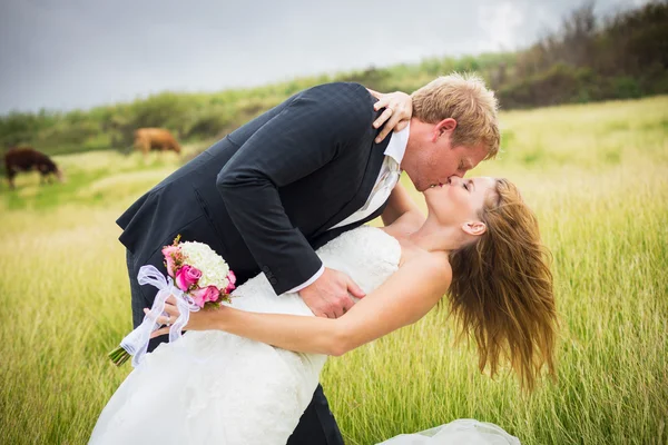 Hochzeit — Stockfoto