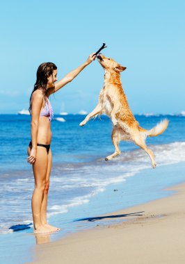 havaya atlama köpek ile kadın playiing