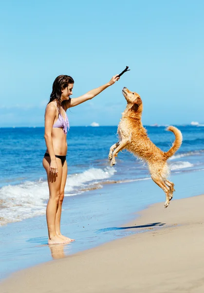 Женщина играет с собакой, прыгающей в воздух — стоковое фото