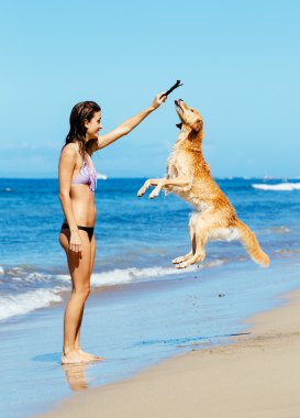 havaya atlama köpek ile kadın playiing