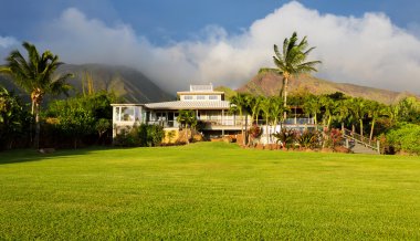 büyük yeşil çim ile ev