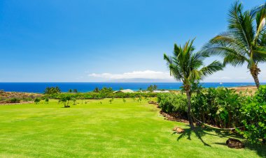 yeşil alan ve okyanus görmek