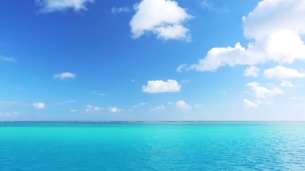 热带小岛 — 图库视频影像