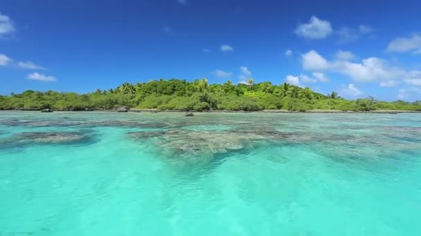 Île tropicale — Video