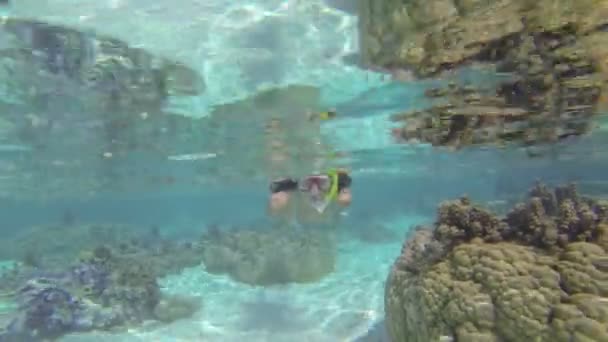Mujer nadando bajo el agua — Vídeo de stock