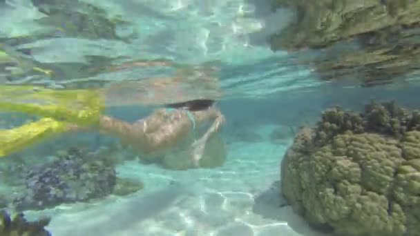 Frau schwimmt unter Wasser — Stockvideo