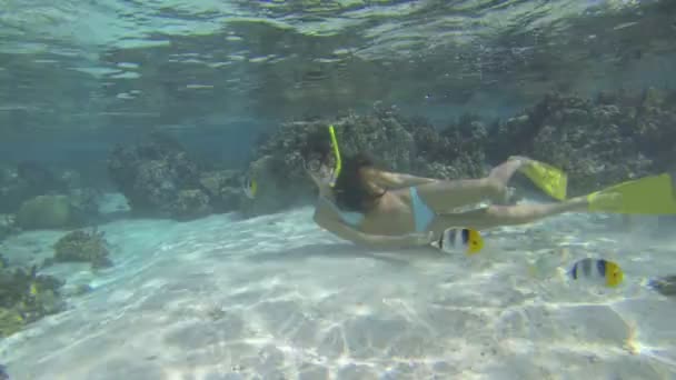 Donna che nuota sott'acqua — Video Stock