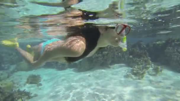 Женщина, плавающая под водой — стоковое видео
