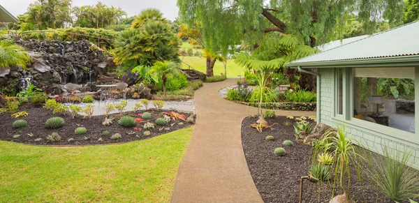 Jardín con cascada — Foto de Stock