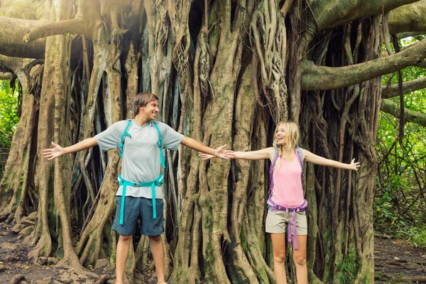 Pareja de pie frente al árbol de Banyan —  Fotos de Stock