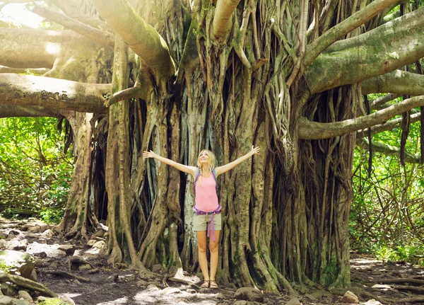 Frau steht vor Banyan-Baum — Stockfoto