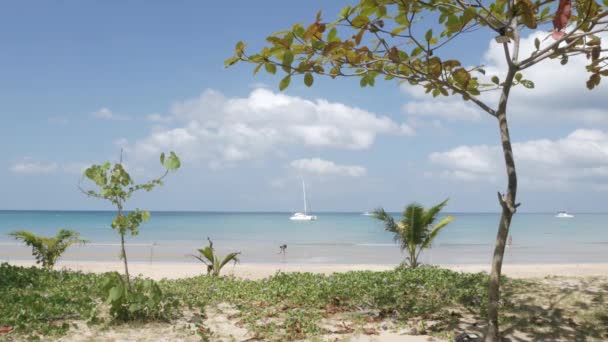 Beach Few Yachts Sea White Sand Wave Peaceful Sea Sunshine — Vídeos de Stock