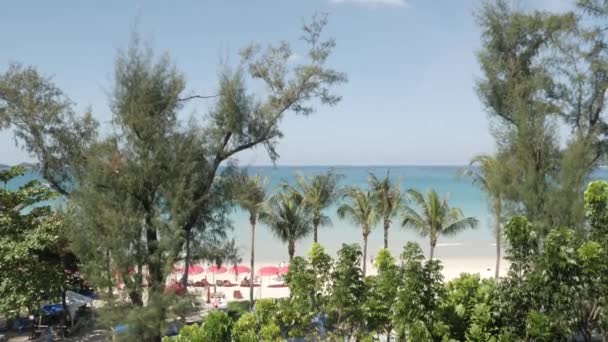 夏の昼間に穏やかな海の景色を望むヤシの木と緑の木のパトンビーチの空中ビュー — ストック動画
