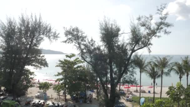Aerial View Patong Beach Palm Tree Greenery Tree Calm Peacful — Stock Video