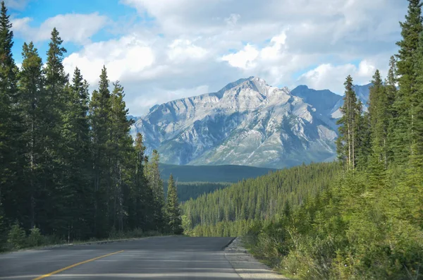 Kanada 'da çam ağaçları olan dağ sıraları arasındaki yol manzarası