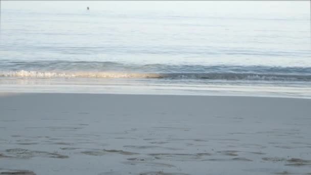 Der Strand Mit Weißem Sand Und Ruhige Welle Aus Dem — Stockvideo