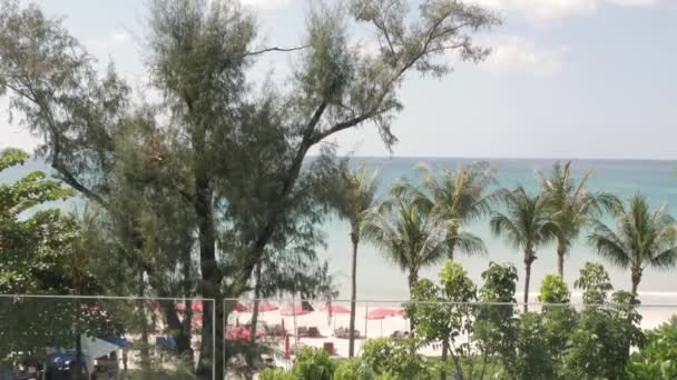 Luftaufnahme Des Patong Strandes Mit Palme Und Grünem Baum Mit — Stockvideo