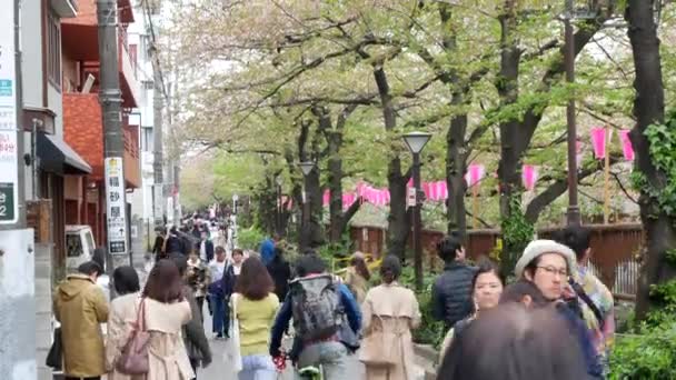 Abril 2019 Tóquio Japão Vídeo Muitas Pessoas Vieram Para Ver — Vídeo de Stock