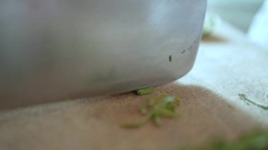 Bıçak kesen bergamot yaprakları kullanarak Asya mutfağı pişirmeye hazırlanın.