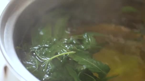 Cannabis Hennep Tijdens Het Koken Pot Voor Het Maken Van — Stockvideo