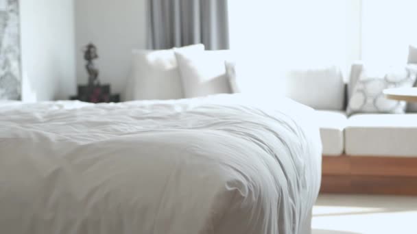 Hotelservice Bringt Handtücher Ins Schlafzimmer — Stockvideo