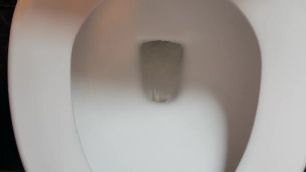 Spoel Toiletpot Door Voor Hygiënereinigingsconcept — Stockvideo