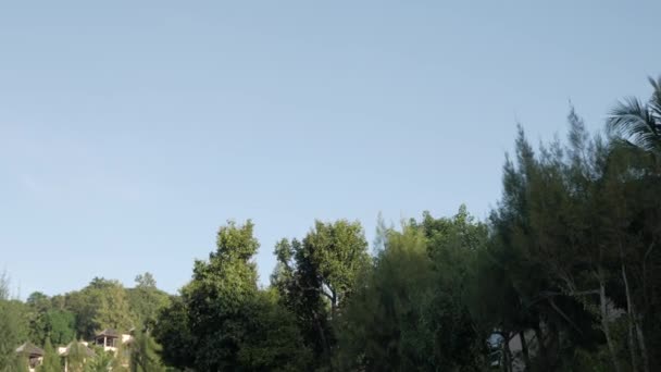 Zicht Groep Groene Bomen Met Zonneschijn Helderblauwe Hemel — Stockvideo