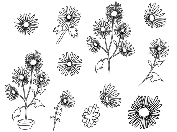 Ser Une Ligne Dessin Fleur Été Croquis Fleur Dessiné Main — Image vectorielle