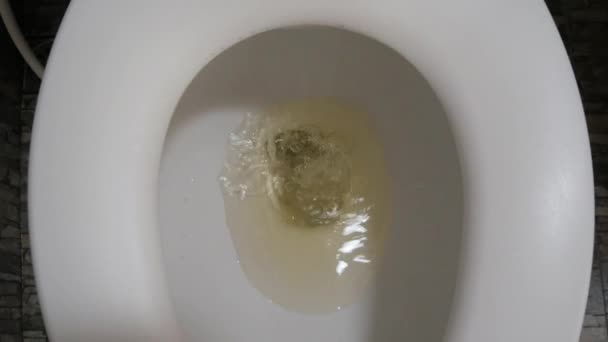 Pov Toilet Bowl While Flushing Shit Feces Water — стоковое видео