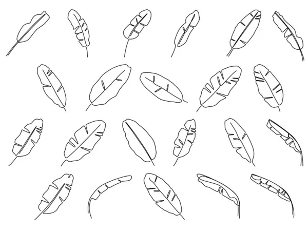 Uppsättning Linje Botaniska Bananblad Minimal Design — Stock vektor