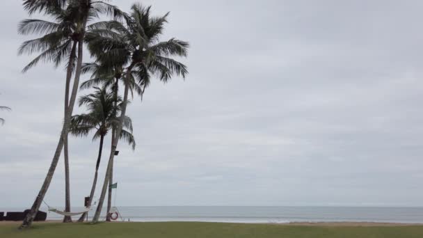 Kumsal Kumsalı Gökyüzü Yaz Günü Plaj Denizinin Yakınındaki Yeşil Arazinin — Stok video
