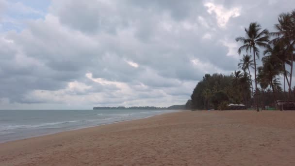 Landskap Utsikt Kokosnötsträd Nära Stranden Sida Med Molnig Himmel Sommar — Stockvideo