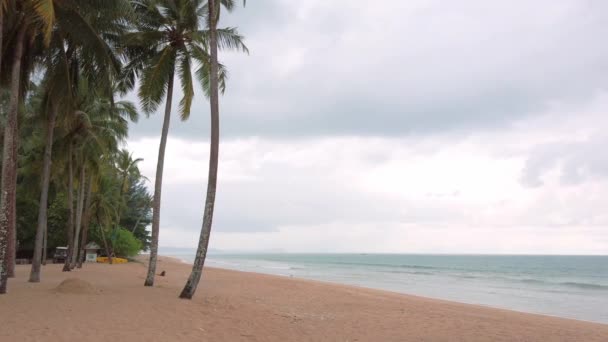 Blick Auf Die Landschaft Kokospalme Der Nähe Der Strandseite Mit — Stockvideo