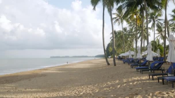 Lüks Plaj Şezlongları Beyaz Kumsalda Şemsiyeler Tayland Hindistan Cevizi Ağacı — Stok video