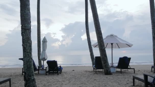 Luxury Beach Lounge Beds Umbrella White Sand Beach Beach Coconut — Video Stock