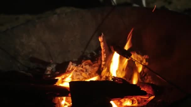 Roasting Marshmallow Candy Firewood Heat While Camping — Stockvideo