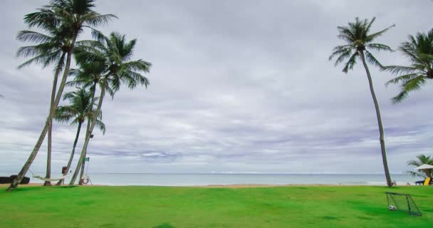 Time Lapse Green Lawn Tropical Sea Beach Landscape Light Nature — Stock Video