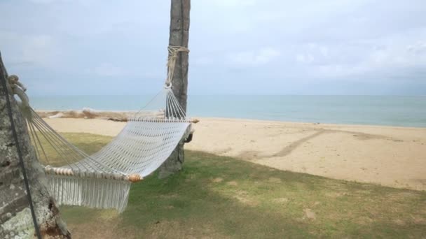 Puste Hamak Zielonym Trawniku Pobliżu Piaszczystej Plaży Tropikalnej Swinging Łóżko — Wideo stockowe