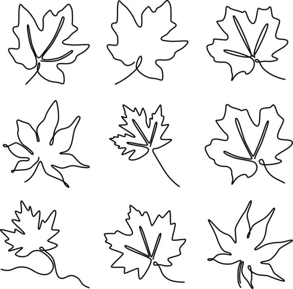 Akçaağaç Sonbahar Yaprağının Aralıksız Bir Çizgisi Çizimi — Stok Vektör