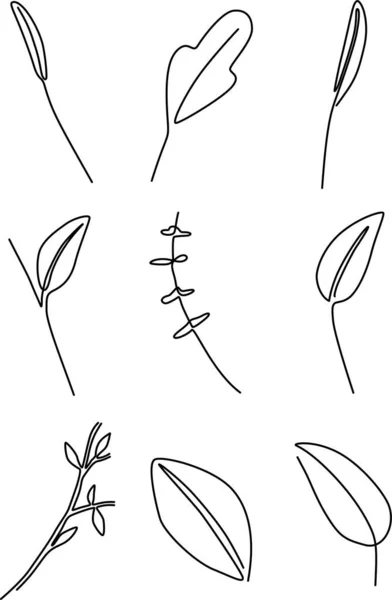 1本の線画のセット装飾用植物性の木の葉 — ストックベクタ