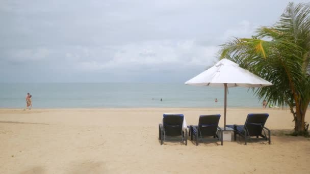 白い砂浜に傘付きの高級ビーチラウンジベッド タイのヤシの木と夏の天気の良い日のビーチ Blue Sky — ストック動画